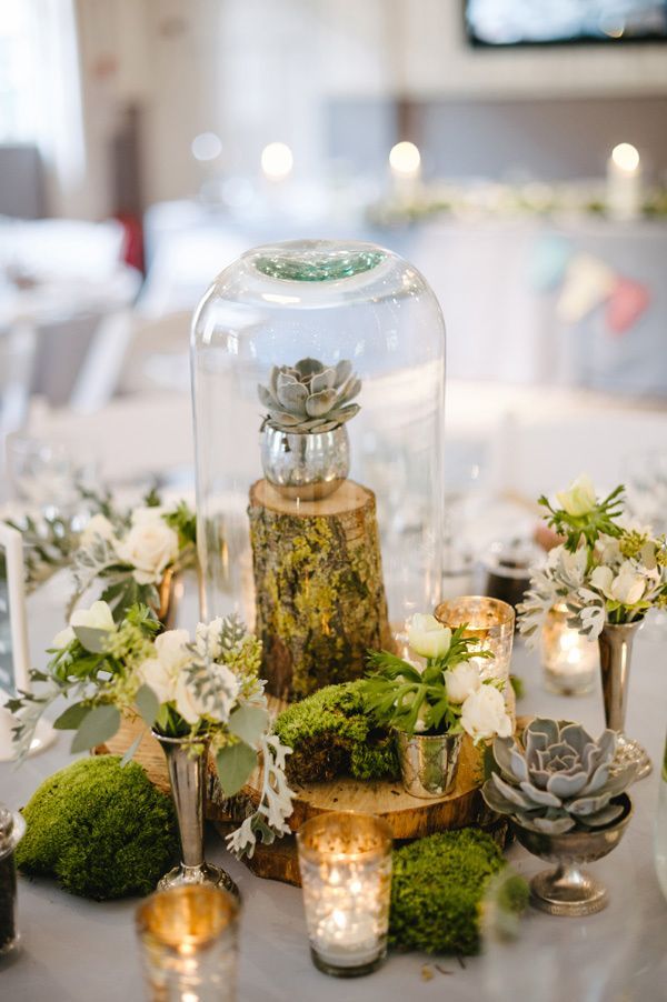 The Secret to Popularity: Adorable Succulents with a Round Shape are a Big Hit at Weddings!にて紹介している画像