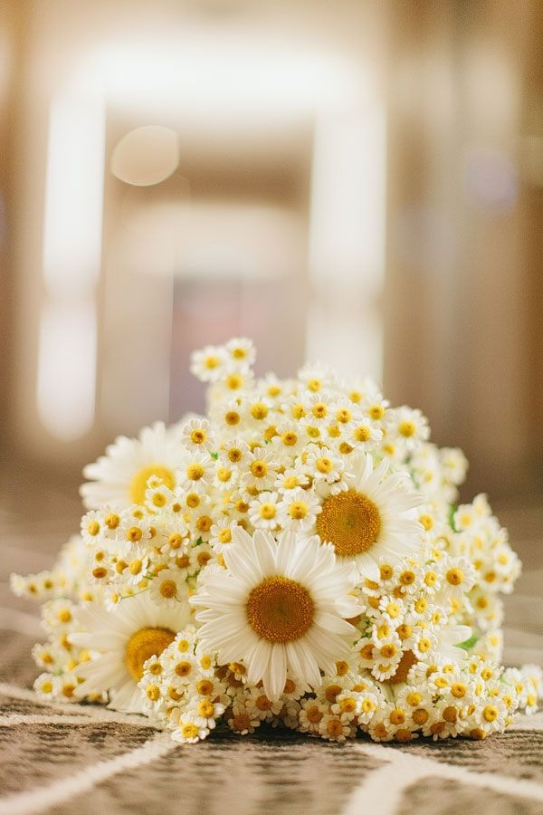 Charming and Cute Daisy Flowers ♡ A Spring Wedding Surrounded by Abundant Daisies＊にて紹介している画像
