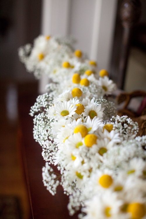 Charming and Cute Daisy Flowers ♡ A Spring Wedding Surrounded by Abundant Daisies＊にて紹介している画像
