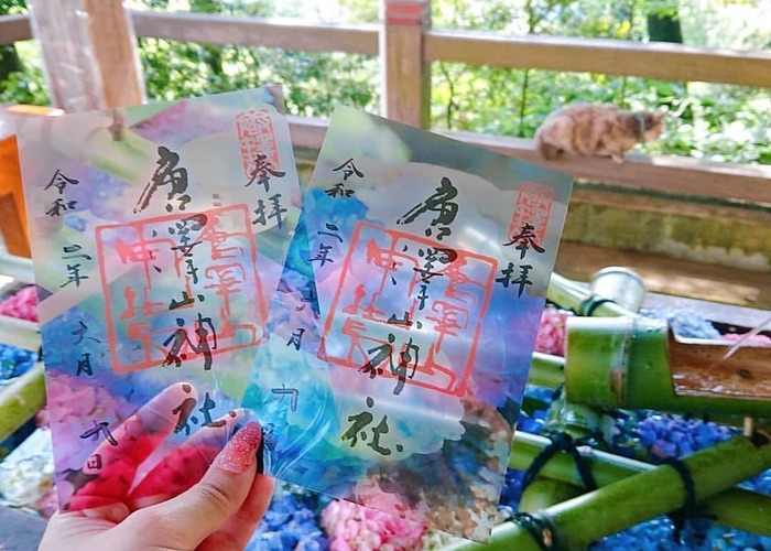 透けてる 栃木県佐野市 唐澤山神社 の透明御朱印がすごい Marry マリー