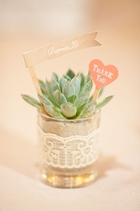 The Secret to Popularity: Adorable Succulents with a Round Shape are a Big Hit at Weddings!にて紹介している画像