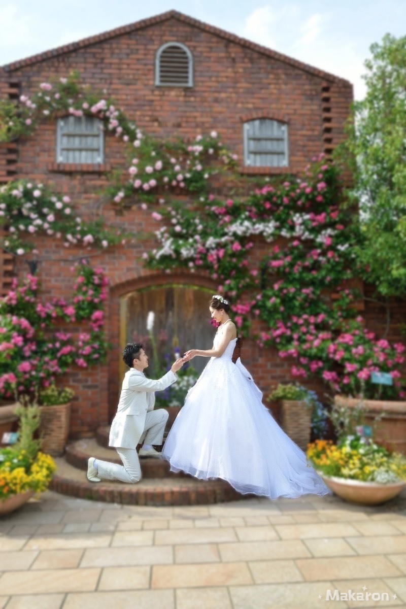 もう少しぼかしたらおしゃれかもな、という時に！背景だけをふんわりぼかし調整できる加工アプリ＊にて紹介している画像