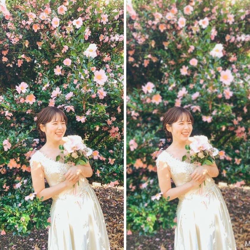 もう少しぼかしたらおしゃれかもな、という時に！背景だけをふんわりぼかし調整できる加工アプリ＊にて紹介している画像