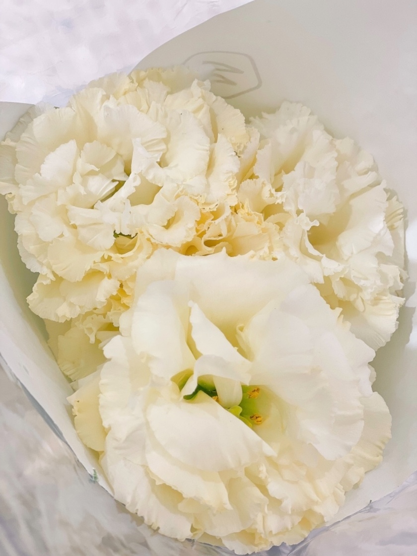 心の準備の為に見たい。インスタで見つけた6人の花嫁さんの【結婚式の後悔】にて紹介している画像