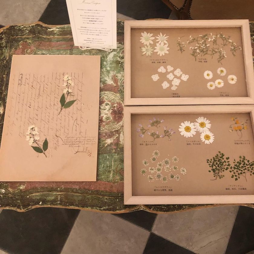 I found a lovely【pressed flower marriage certificate】 that looks like it belongs in a Paris flea market, just like a specimen ♡にて紹介している画像