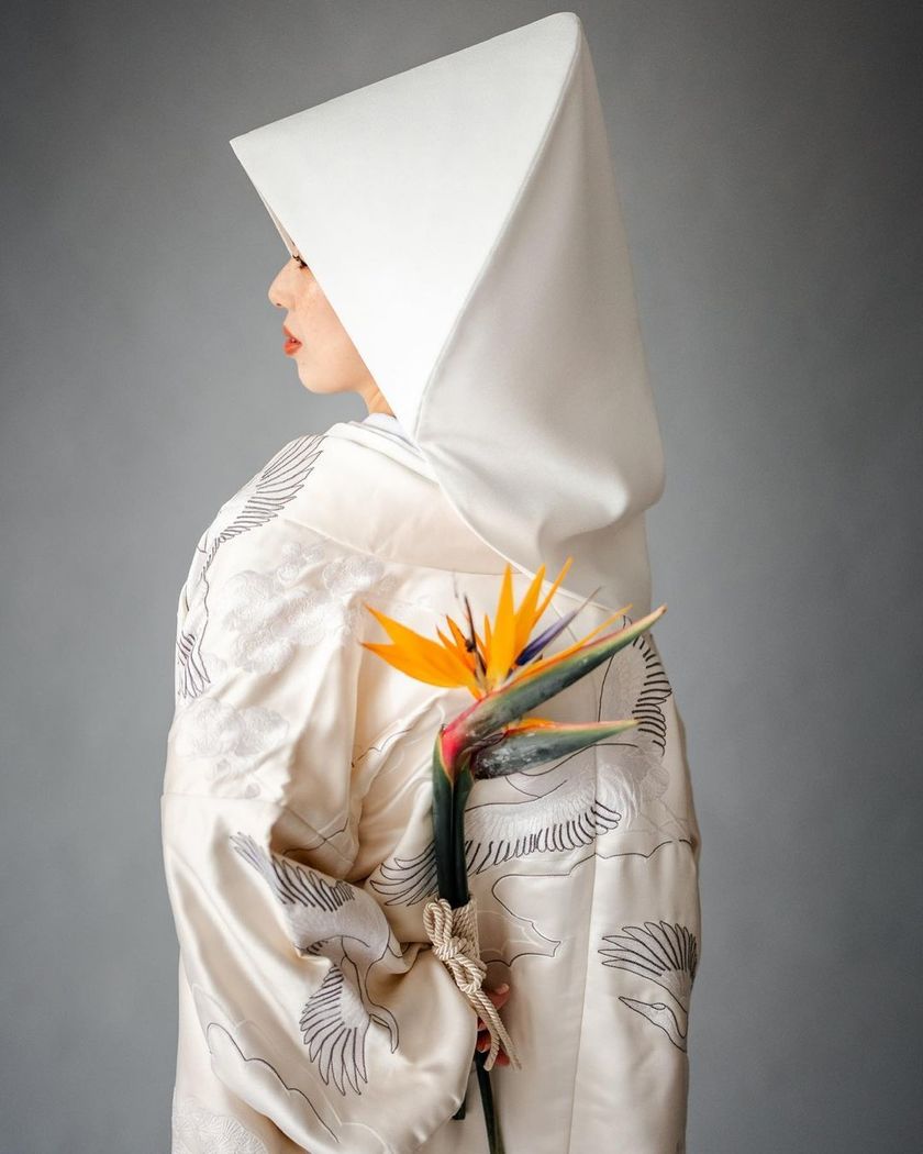 Just like a bird! Do you know the orange, stylish flower known as the [Gokurakuchouka]?にて紹介している画像