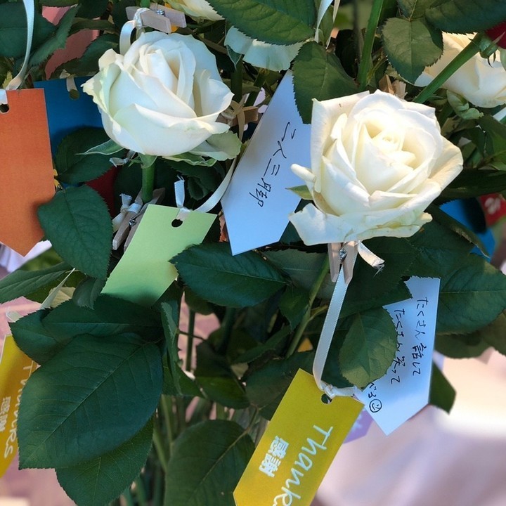 An evolved version of Dozen Roses ♡ A wonderful guest participation flower ceremony using real roses 🌹にて紹介している画像