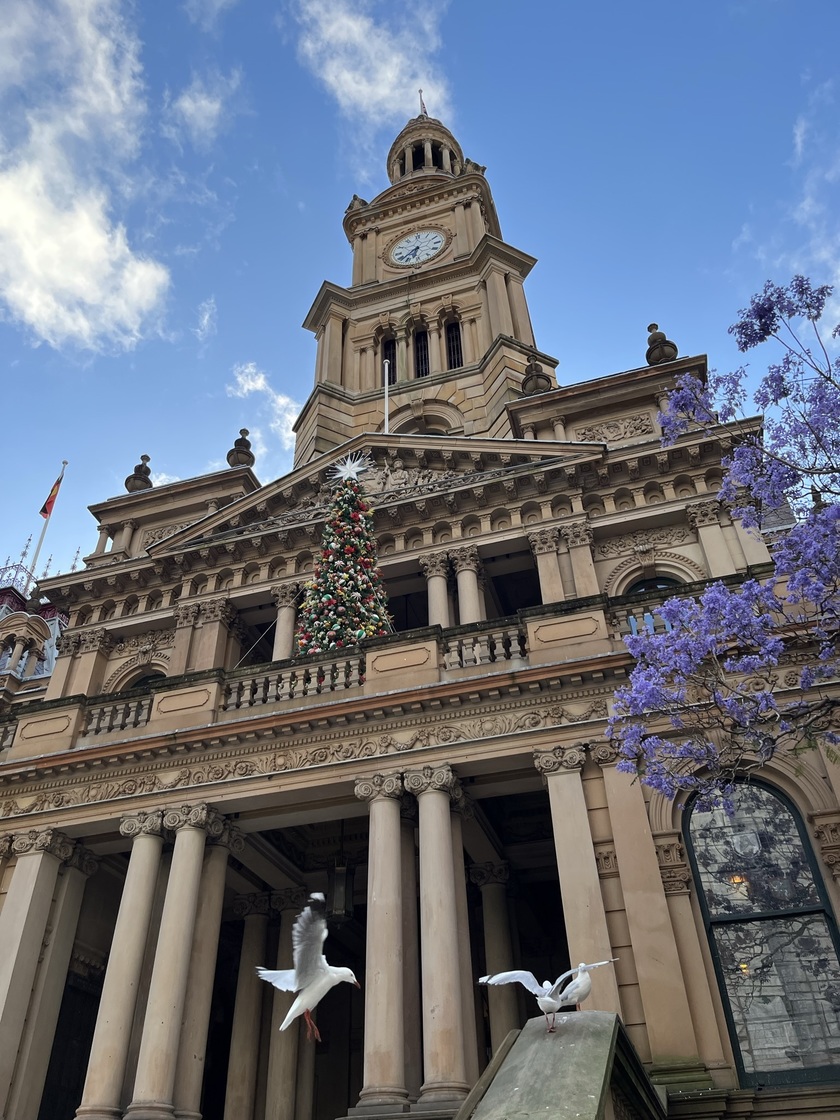 豊かな自然を満喫できる!オーストラリアハネムーン🇦🇺🐨【10日間モデルスケジュール】にて紹介している画像