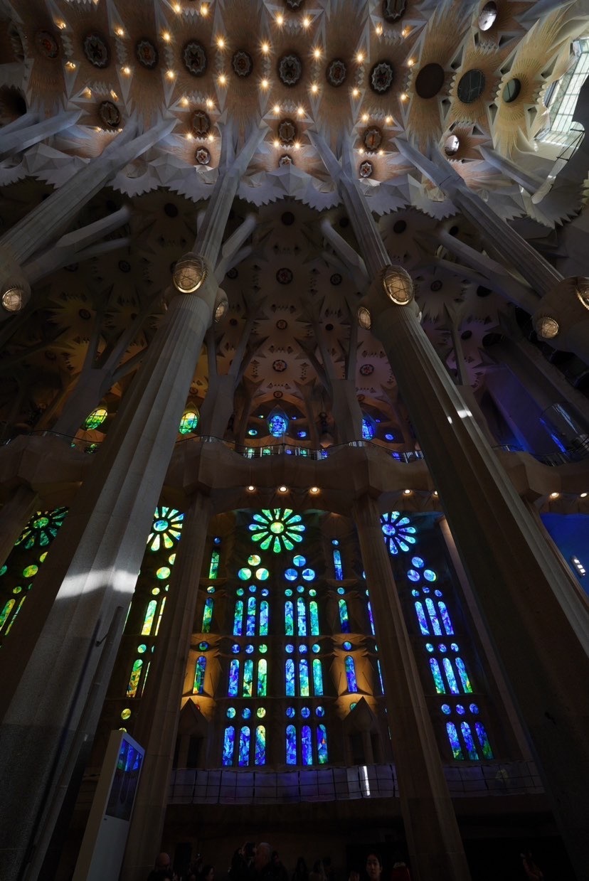 (Finally ♡) Recently, everyone has started going! A special feature on beautiful photos from overseas honeymoons ✈にて紹介している画像