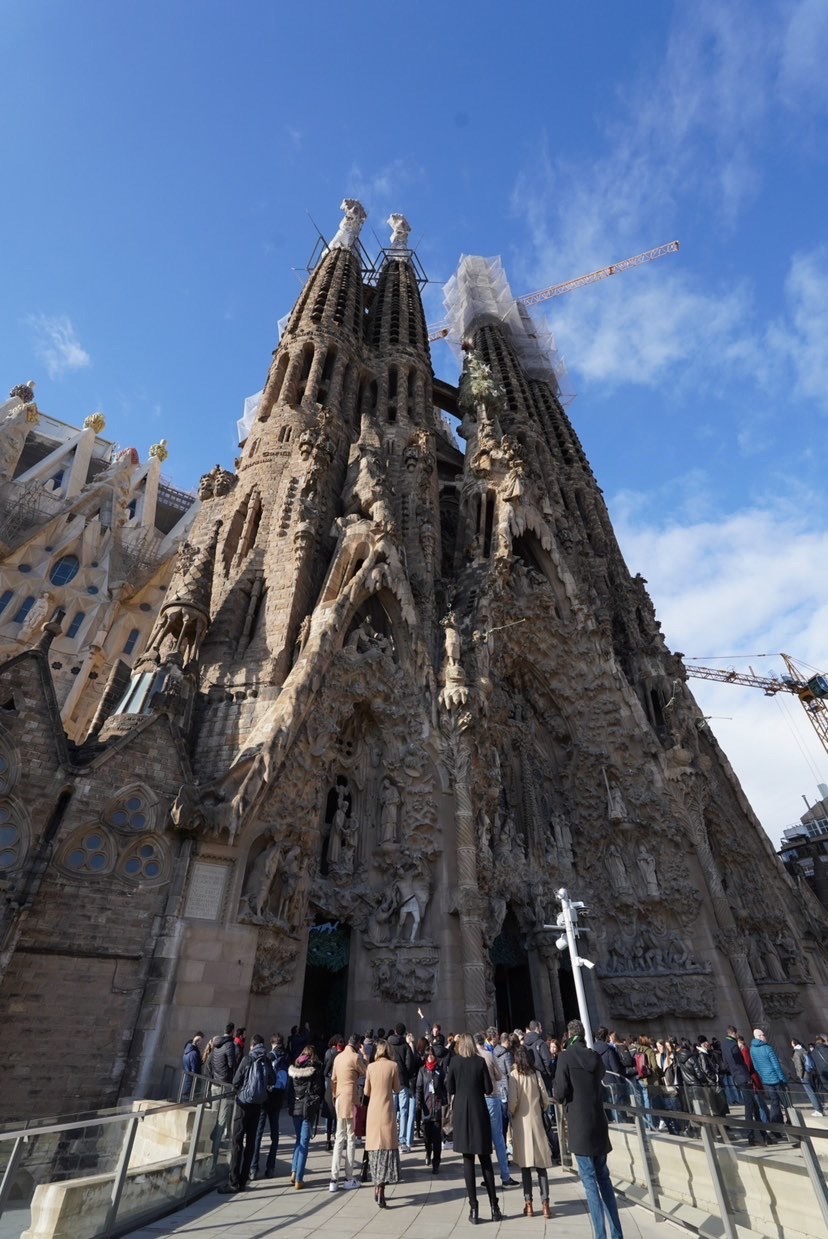 (Finally ♡) Recently, everyone has started going! A special feature on beautiful photos from overseas honeymoons ✈にて紹介している画像