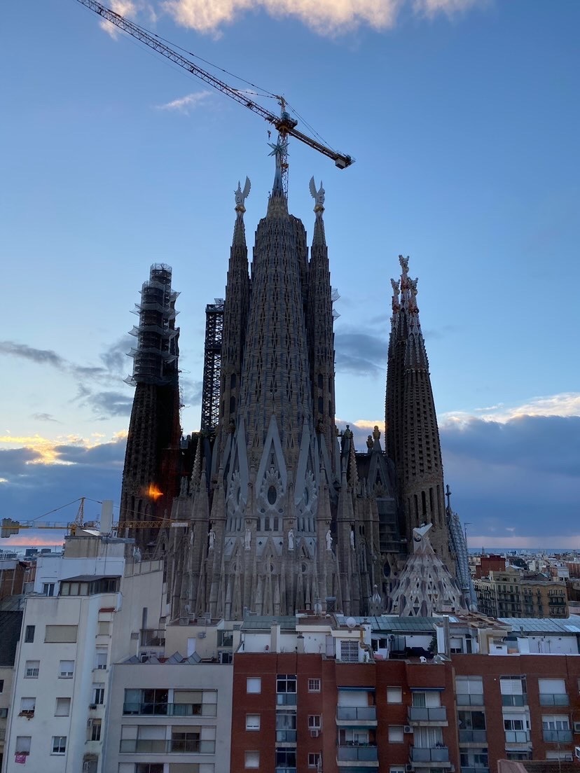 (Finally ♡) Recently, everyone has started going! A special feature on beautiful photos from overseas honeymoons ✈にて紹介している画像