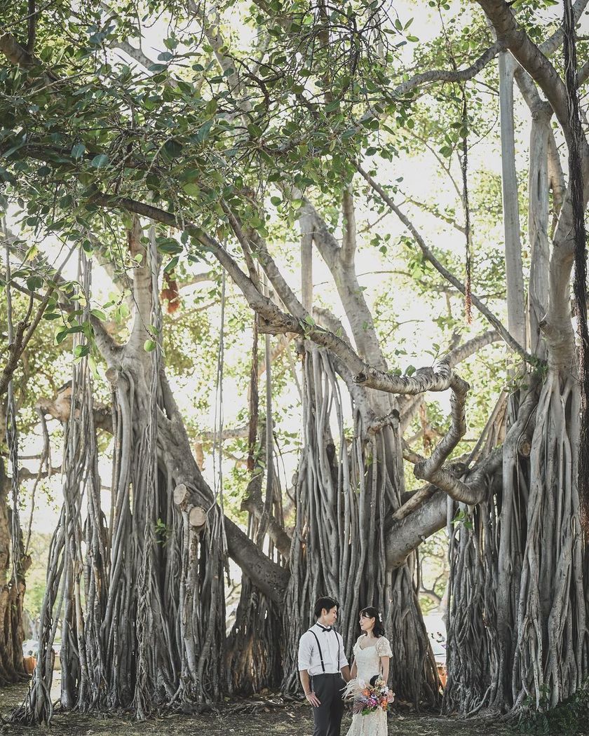 A Different Image Than Before❣️ Is This Hawaii? A Surprising Collection of Hawaii Wedding Photos 🌵🌺にて紹介している画像