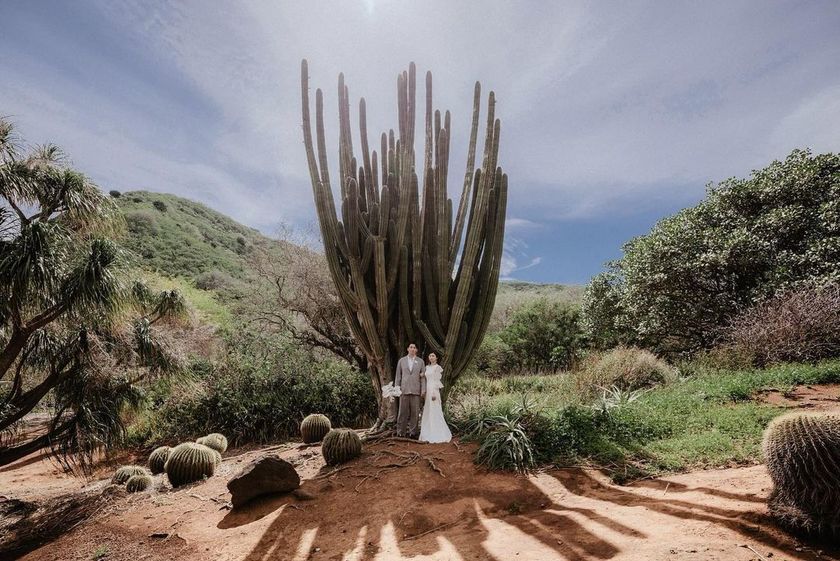 A Different Image Than Before❣️ Is This Hawaii? A Surprising Collection of Hawaii Wedding Photos 🌵🌺にて紹介している画像