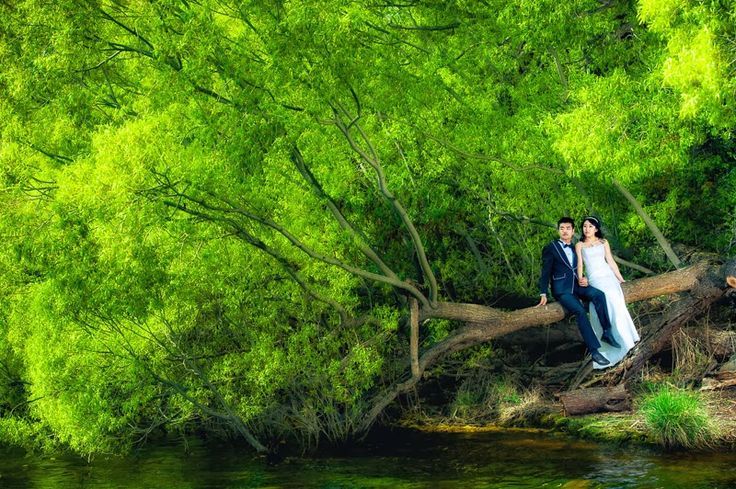 Breathless in New Zealand's Majestic Nature: Becoming a Fairytale Heroine at Lake Tekapo Church ♡にて紹介している画像