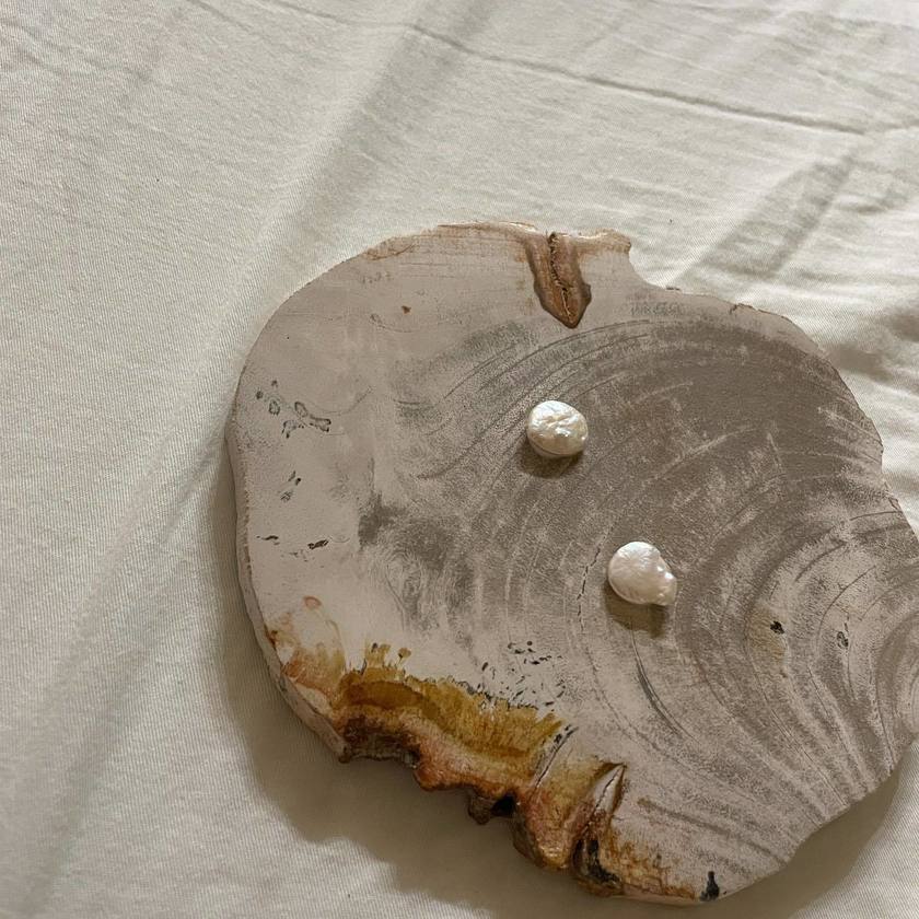 木が化石化したもの🌳💎［珪化木のウッドコースター］をリングピローにするアイデアがおしゃれにて紹介している画像