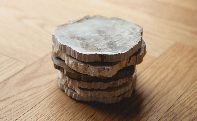 木が化石化したもの🌳💎［珪化木のウッドコースター］をリングピローにするアイデアがおしゃれにて紹介している画像