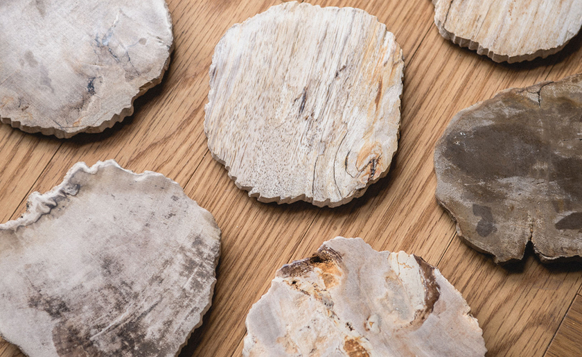 木が化石化したもの🌳💎［珪化木のウッドコースター］をリングピローにするアイデアがおしゃれにて紹介している画像