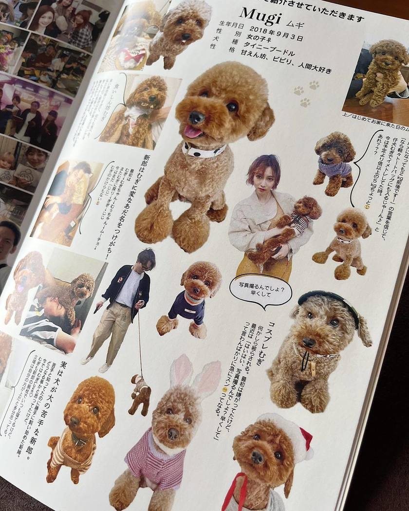 ポパイ風やりぼん風など📗◯◯風プロフィールブックを作った花嫁さんのPBを中身まで全部公開!にて紹介している画像