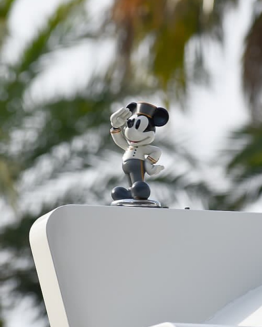 見れたら幸せ🕊️ミッキーバスの行き先は結婚式の日限定で「JUST MARRIED」になる🏰🎈にて紹介している画像