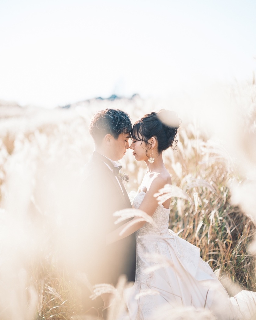 黄金のススキが美しい絶景スポット🌾和歌山の生石高原で撮るウェディングフォトが素敵💛にて紹介している画像