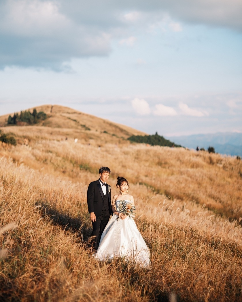 黄金のススキが美しい絶景スポット🌾和歌山の生石高原で撮るウェディングフォトが素敵💛にて紹介している画像