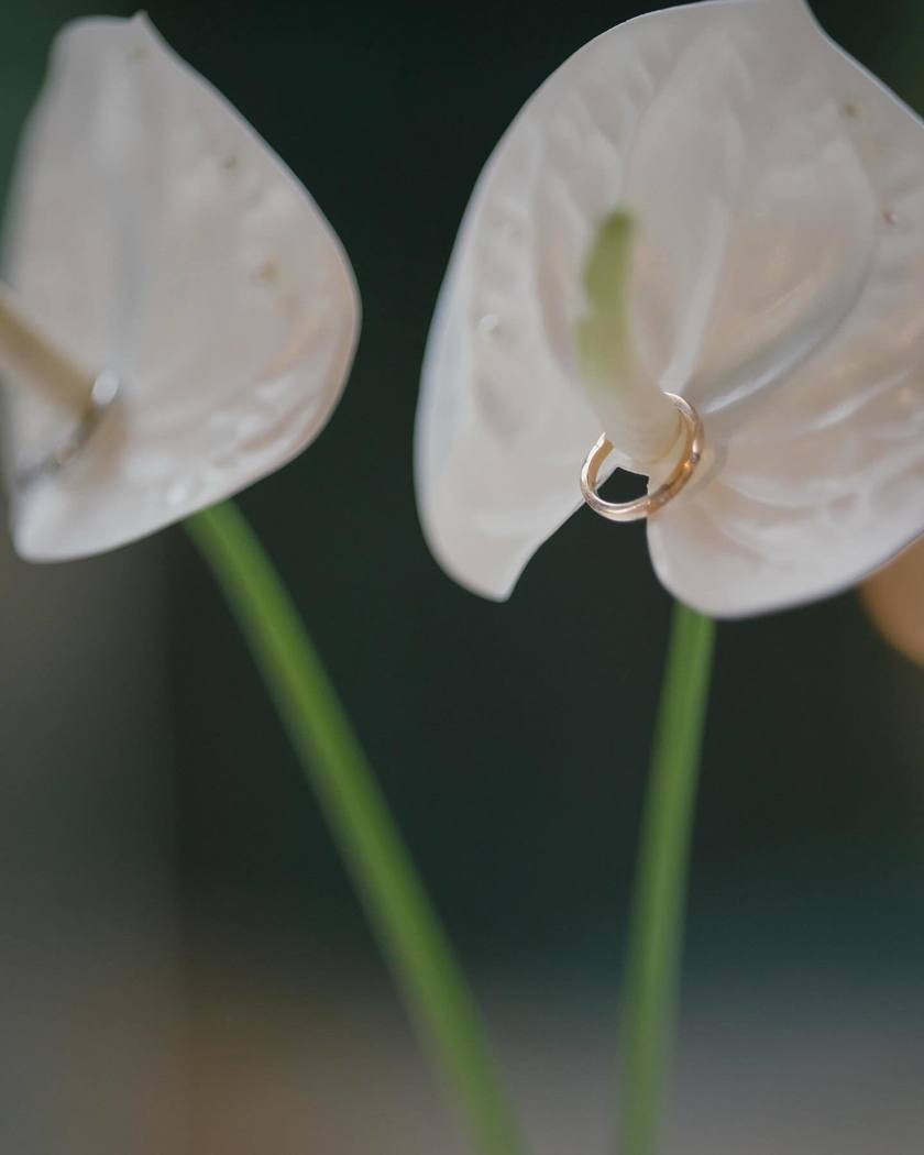 What Color to Choose? Fresh Flowers or Artificial Flowers? 9 Real Photos of Brides on Their Big Day with Anthurium Ring Pillowsにて紹介している画像