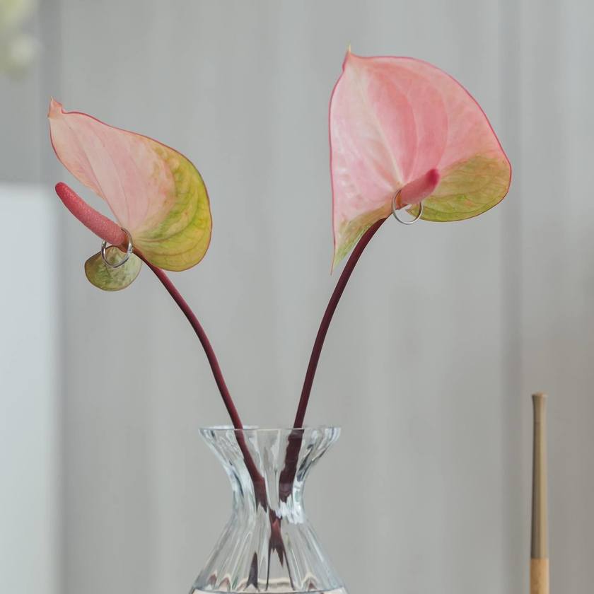 What Color to Choose? Fresh Flowers or Artificial Flowers? 9 Real Photos of Brides on Their Big Day with Anthurium Ring Pillowsにて紹介している画像