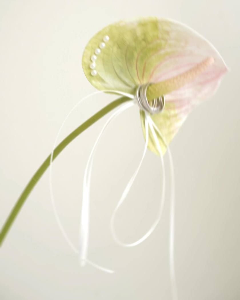 What Color to Choose? Fresh Flowers or Artificial Flowers? 9 Real Photos of Brides on Their Big Day with Anthurium Ring Pillowsにて紹介している画像