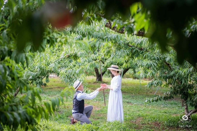 憧れる🍑韓国前撮りで見かける「フルーツ畑」フォト🍊📷日本でも撮影できる場所を探しました！にて紹介している画像