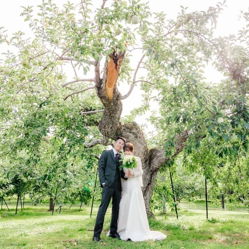 憧れる🍑韓国前撮りで見かける「フルーツ畑」フォト🍊📷日本でも撮影できる場所を探しました！にて紹介している画像
