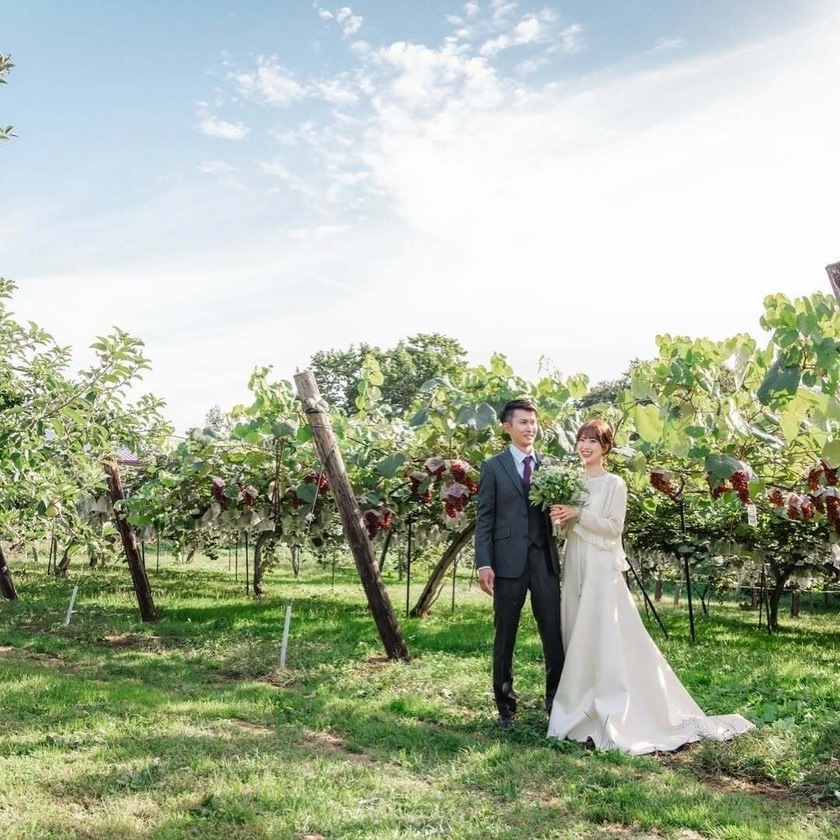 憧れる🍑韓国前撮りで見かける「フルーツ畑」フォト🍊📷日本でも撮影できる場所を探しました！にて紹介している画像