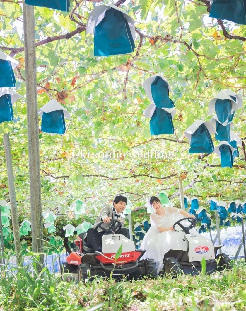 憧れる🍑韓国前撮りで見かける「フルーツ畑」フォト🍊📷日本でも撮影できる場所を探しました！にて紹介している画像