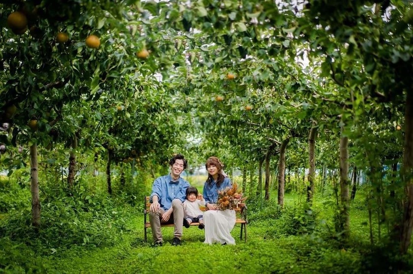 憧れる🍑韓国前撮りで見かける「フルーツ畑」フォト🍊📷日本でも撮影できる場所を探しました！にて紹介している画像