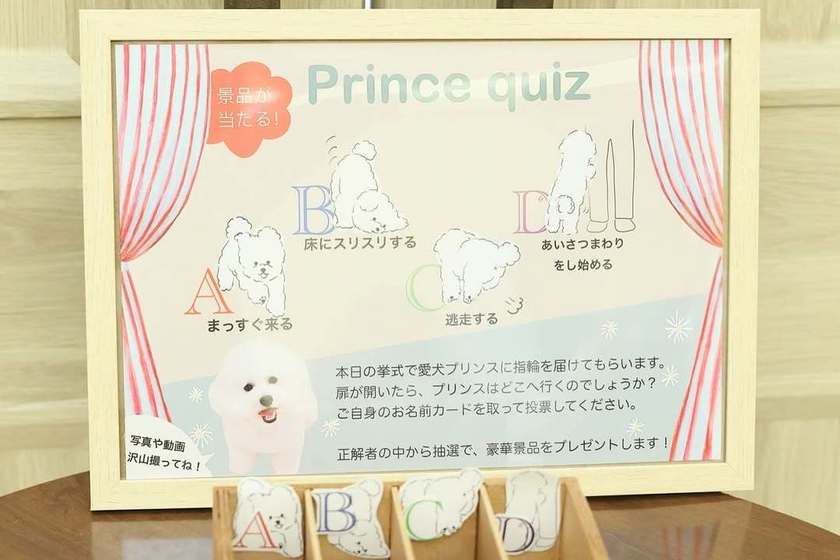 新しいペット×ゲスト参加型演出🐶💍みんなが笑顔になる「リングドッグクイズ」って知ってる？にて紹介している画像