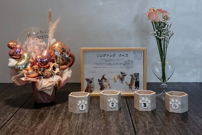 新しいペット×ゲスト参加型演出🐶💍みんなが笑顔になる「リングドッグクイズ」って知ってる？にて紹介している画像