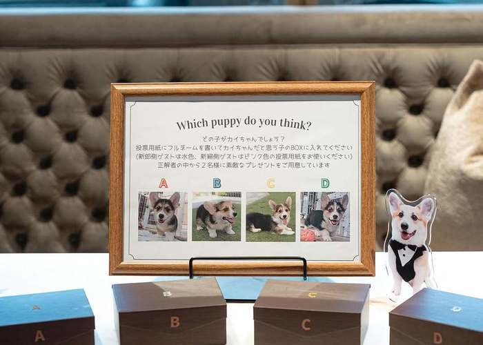 新しいペット×ゲスト参加型演出🐶💍みんなが笑顔になる「リングドッグクイズ」って知ってる？のトップ画像