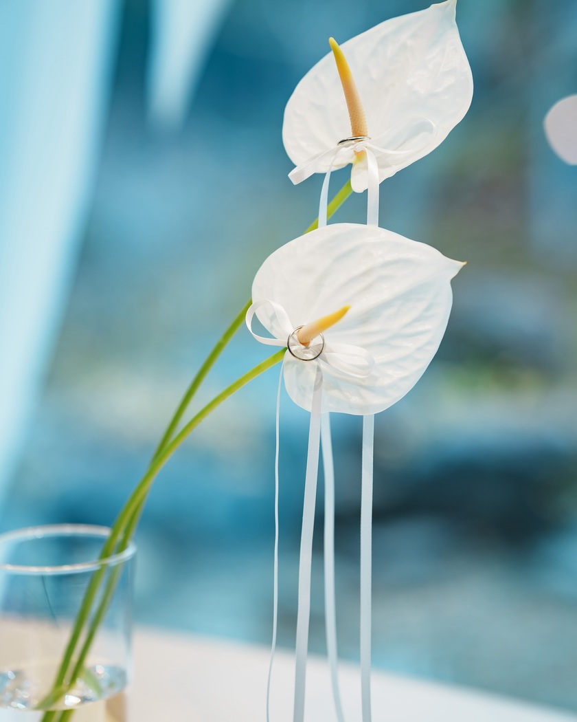 大切な指輪の特等席💍2025年に参考にしたいおしゃれなリングピローのデザイン11選にて紹介している画像