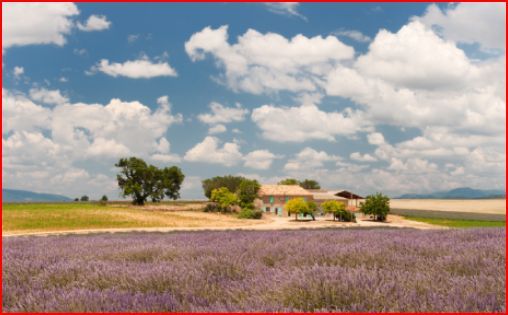 Dreamy Bath Time: I Can't Resist the World's Cutest Gemstone Soap, "Sabon Gem"! ✨にて紹介している画像