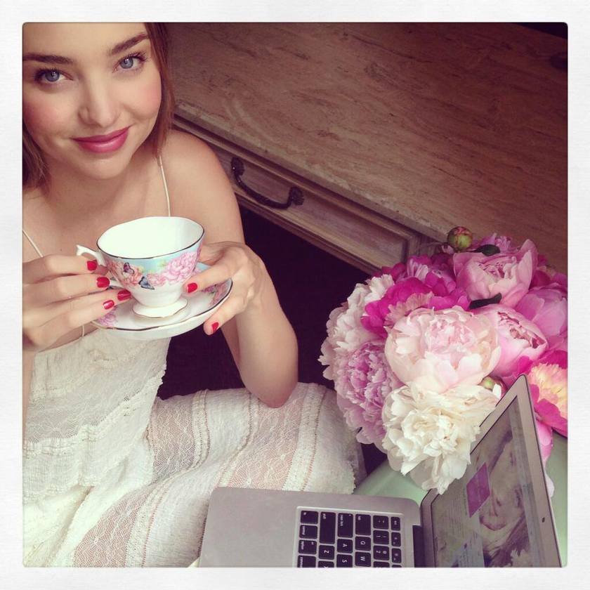 Miranda Kerr Collaborates with 'Royal Albert' - Adorable Floral and Butterfly Ceramics That Will Make You Swoon♡にて紹介している画像