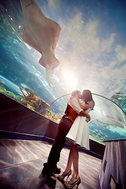 "Amazing Aquarium Weddings! A Dreamy Celebration with Fish♡"にて紹介している画像