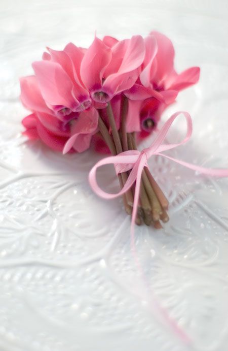 The Perfect Bouquet for You! A Wonderful Wedding with Birth Month Bouquets ♡にて紹介している画像