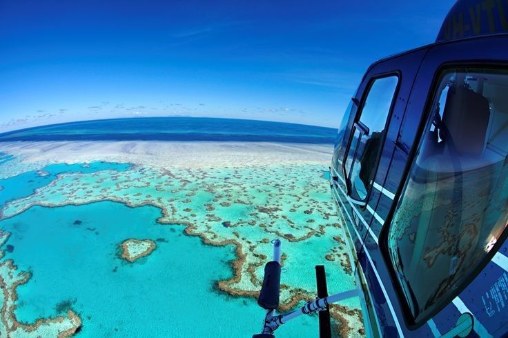 "The Heart Reef: A Coral Reef That Brings Happiness to Those Who Visit ♥"にて紹介している画像