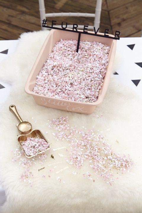 ねこ好きな人集まれ♡アイディア＆ブライダルフォトで癒されましょう＊にて紹介している画像