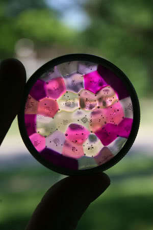 オーブンで簡単！『メルトビーズ』で可愛いアイテム作り＊にて紹介している画像