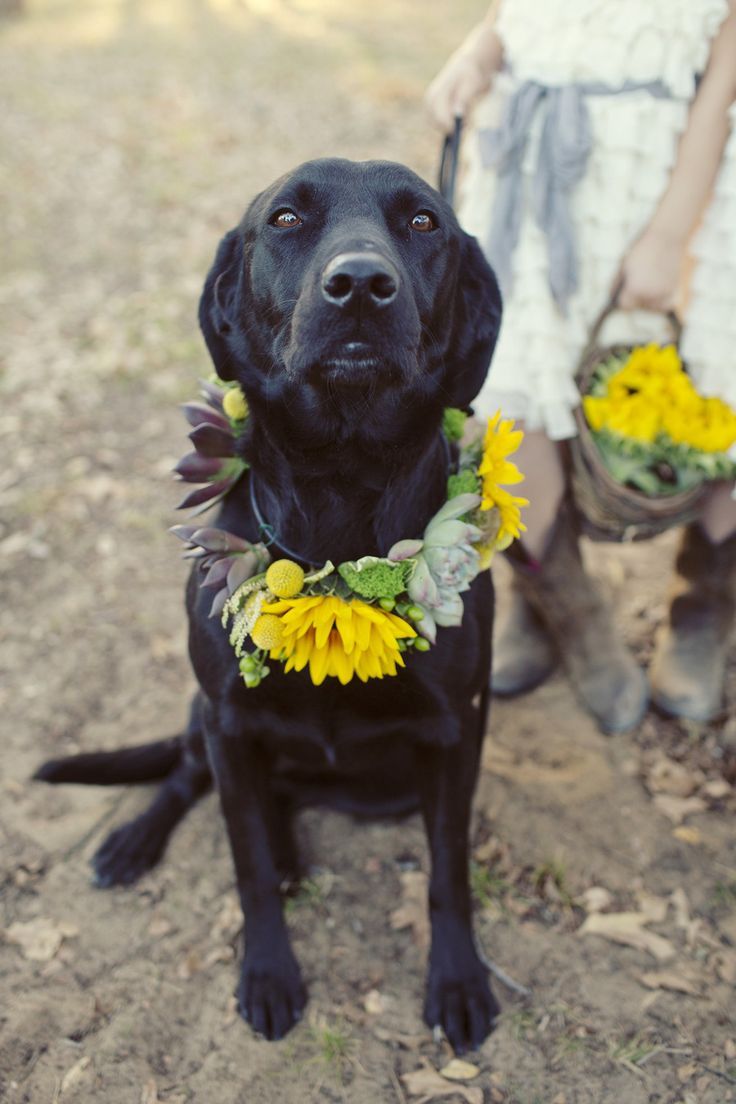 "I Want to Have a Bright and Cheerful Wedding Theme with Sunflowers This Summer"にて紹介している画像