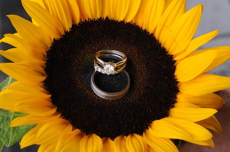 "I Want to Have a Bright and Cheerful Wedding Theme with Sunflowers This Summer"にて紹介している画像