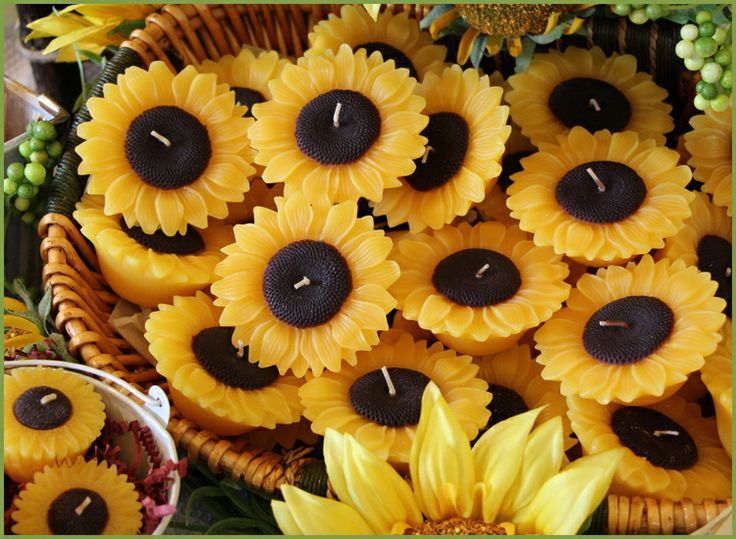 "I Want to Have a Bright and Cheerful Wedding Theme with Sunflowers This Summer"にて紹介している画像