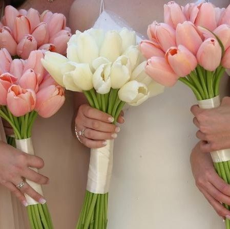 A Bouquet Made with Just One Type of Flower! The Purely Adorable 'Single Bouquet'♡にて紹介している画像