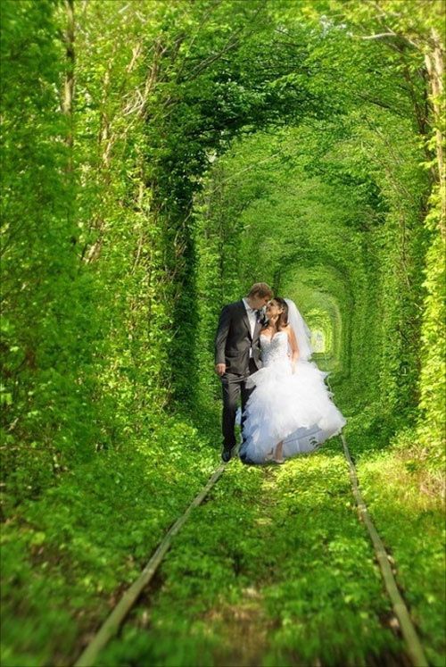 ハネムーンに行きたい ウクライナにある 恋のトンネル がとっても素敵 Marry マリー ハネムーンに行きたい ウクライナにある 恋のトンネル がとっても素敵 Marry マリー