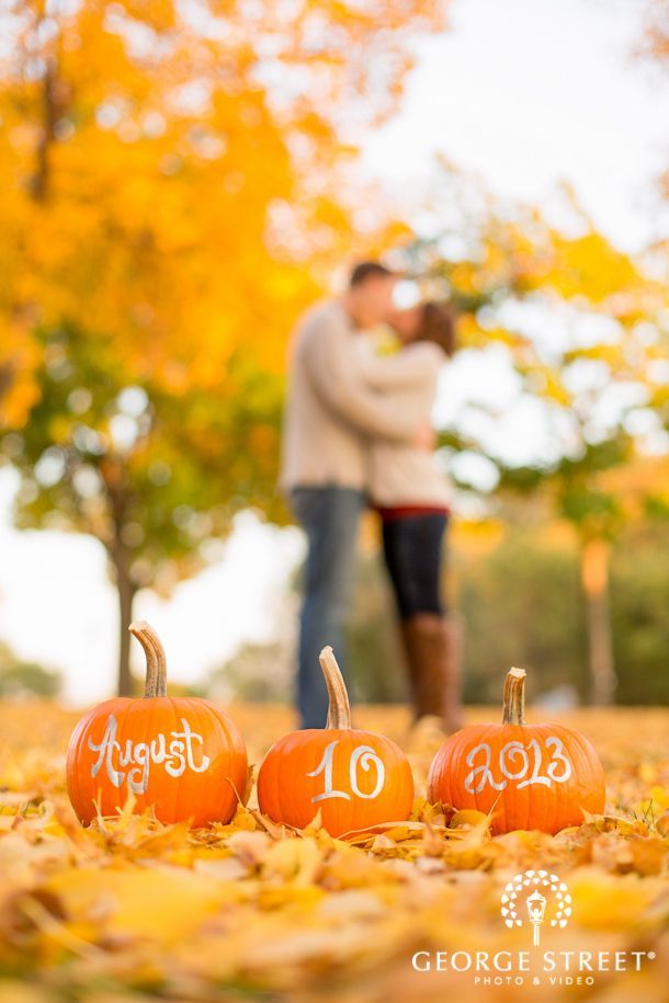 A Must-Capture During Halloween! A Collection of Wedding Photos Featuring Jack-o'-Lanterns♡にて紹介している画像